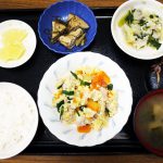 きょうのお昼ごはんは、豚肉と人参の卵とじ・おろし和え・含め煮・みそ汁・くだものでした。