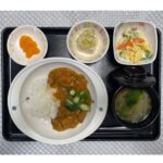 8月8日木曜日　きょうのお昼ごはんは、夏野菜カレー・マカロニサラダ・ネギ塩奴・みそ汁・くだものでした。